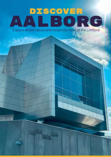 Discover Aalborg Buch